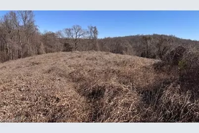 747 Chandler Road, Dobson, NC 27017 - Photo 42