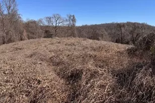 747 Chandler Rd, Dobson, NC 27017 - Photo 42