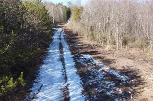 747 Chandler Rd, Dobson, NC 27017 - Photo 32