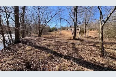 747 Chandler Road, Dobson, NC 27017 - Photo 22