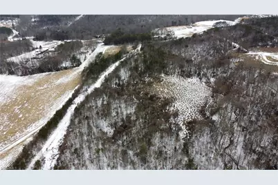 747 Chandler Road, Dobson, NC 27017 - Photo 30