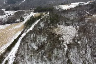 747 Chandler Rd, Dobson, NC 27017 - Photo 30