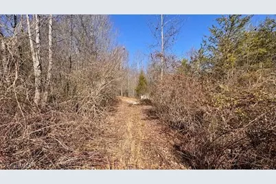 747 Chandler Road, Dobson, NC 27017 - Photo 26