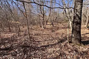 747 Chandler Rd, Dobson, NC 27017 - Photo 18