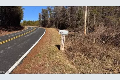 747 Chandler Road, Dobson, NC 27017 - Photo 44