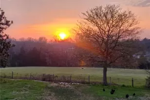 3216 Flat Swamp Rd, Denton, NC 27239 - Photo 50