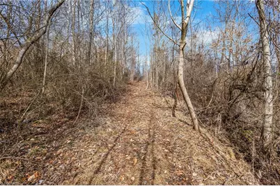 0 Hinshaw Road, Yadkinville, NC 27055 - Photo 2