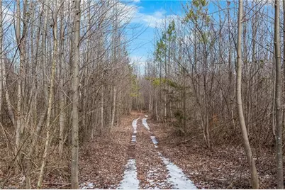 0 Hinshaw Road, Yadkinville, NC 27055 - Photo 14