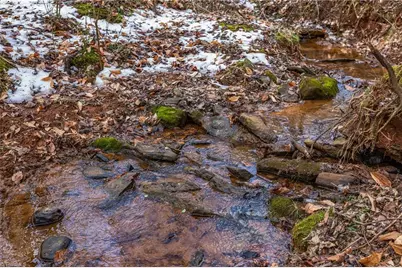 0 Hinshaw Road, Yadkinville, NC 27055 - Photo 4