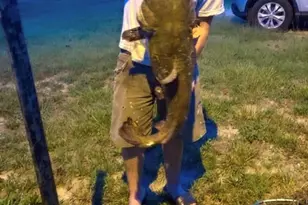 115 Washburn Lake Rd, Reidsville, NC 27320 - Photo 34