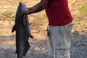 115 Washburn Lake Rd, Reidsville, NC 27320 - Photo 32