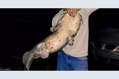 115 Washburn Lake Road, Reidsville, NC 27320 - Photo 30