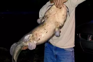 115 Washburn Lake Rd, Reidsville, NC 27320 - Photo 30