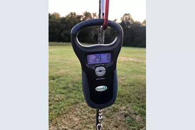 115 Washburn Lake Road, Reidsville, NC 27320 - Photo 36