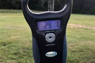 115 Washburn Lake Rd, Reidsville, NC 27320 - Photo 36