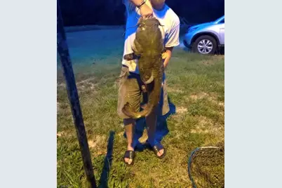 115 Washburn Lake Road, Reidsville, NC 27320 - Photo 34