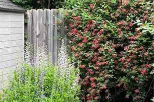 915 Onslow Dr, Greensboro, NC 27408 - Photo 44