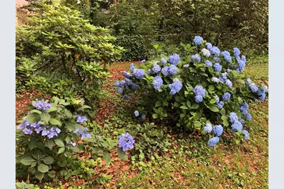 915 Onslow Drive, Greensboro, NC 27408 - Photo 42