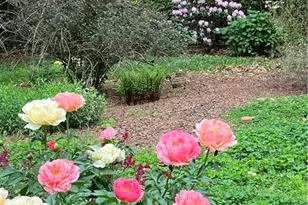 915 Onslow Dr, Greensboro, NC 27408 - Photo 38