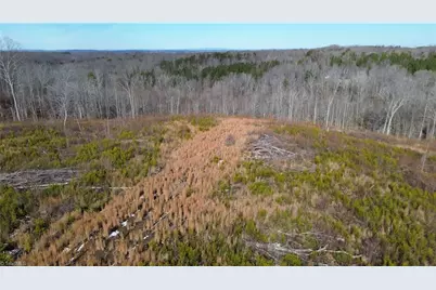 00 Valley Level Road #Parcel - A, Reidsville, NC 27320 - Photo 4