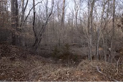 0 Reynolda Road, Pfafftown, NC 27040 - Photo 12