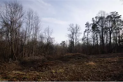 0 Reynolda Road, Pfafftown, NC 27040 - Photo 16
