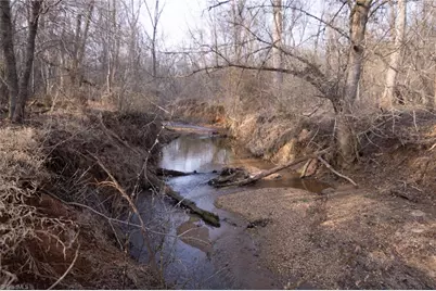 0 Reynolda Road, Pfafftown, NC 27040 - Photo 6