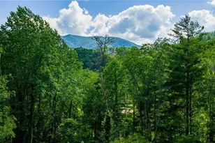 Lot 3 North Fork New River Rd, Lansing, NC 28643 - Photo 1