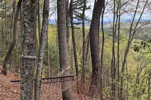 114 Woodpecker Rd, Purlear, NC 28665 - Photo 44