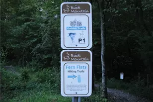 114 Woodpecker Rd, Purlear, NC 28665 - Photo 46