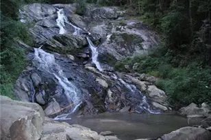 114 Woodpecker Rd, Purlear, NC 28665 - Photo 42