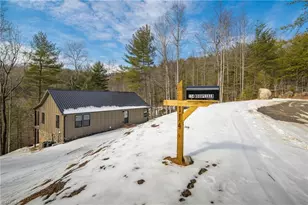 114 Woodpecker Rd, Purlear, NC 28665 - Photo 38