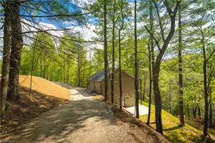 114 Woodpecker Rd, Purlear, NC 28665 - Photo 2