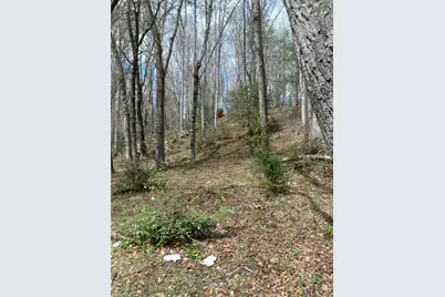 146 Ringwood Drive, Mount Airy, NC 27030 - Photo 30