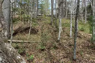 146 Ringwood Dr, Mount Airy, NC 27030 - Photo 32