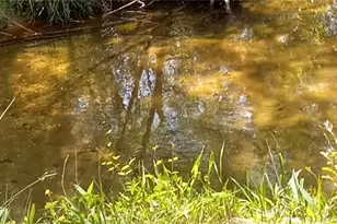 146 Ringwood Dr, Mount Airy, NC 27030 - Photo 30