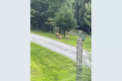 1584 Franklin Hills Court, Randleman, NC 27317 - Photo 36