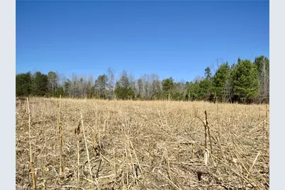 333 Haw Road, Browns Summit, NC 27214 - Photo 30