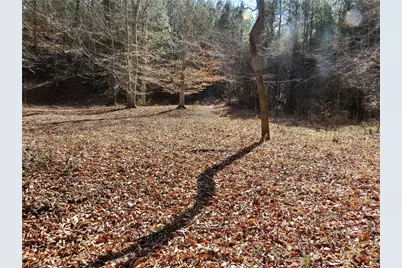 333 Haw Road, Browns Summit, NC 27214 - Photo 42