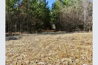 333 Haw Road, Browns Summit, NC 27214 - Photo 26