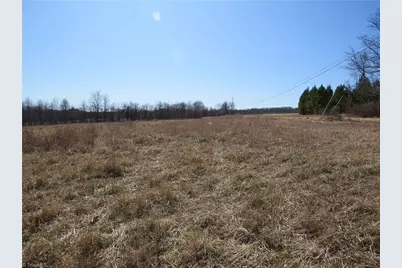 333 Haw Road, Browns Summit, NC 27214 - Photo 8