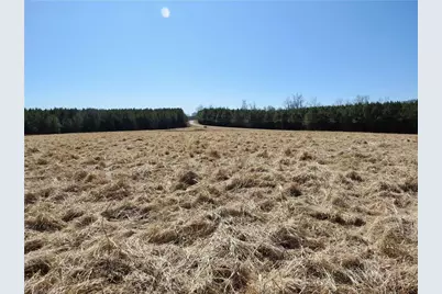 333 Haw Road, Browns Summit, NC 27214 - Photo 16