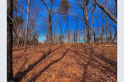 430 Sierra Trace Road, Denton, NC 27239 - Photo 10