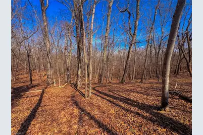 863 Sierra Trace Road, Denton, NC 27239 - Photo 10