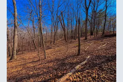 863 Sierra Trace Road, Denton, NC 27239 - Photo 12