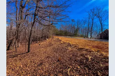 863 Sierra Trace Road, Denton, NC 27239 - Photo 8