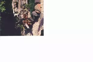 4255 Briar Creek Rd, Clemmons, NC 27012 - Photo 46