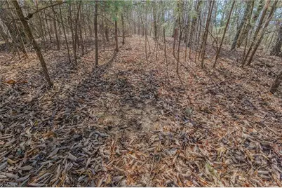 000 Willard Creek, Stuart, VA 24171 - Photo 22