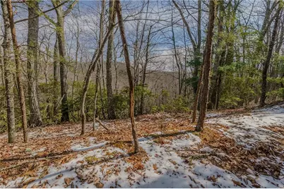 000 Willard Creek, Stuart, VA 24171 - Photo 12