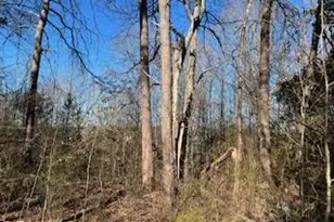 3633 Shacktown Rd, Yadkinville, NC 27055 - Photo 6